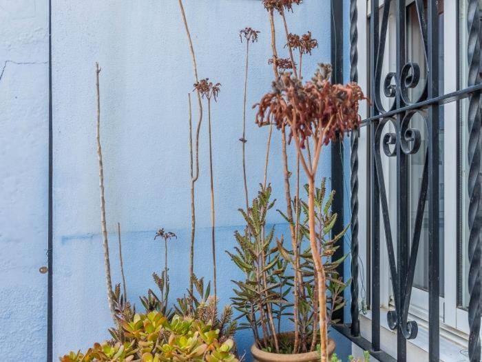 Apartamento Susillo Vacacional Sevilla 外观 照片